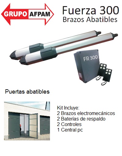 FR300